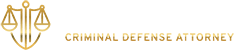 David M. Lurie Criminal Defense Attorney